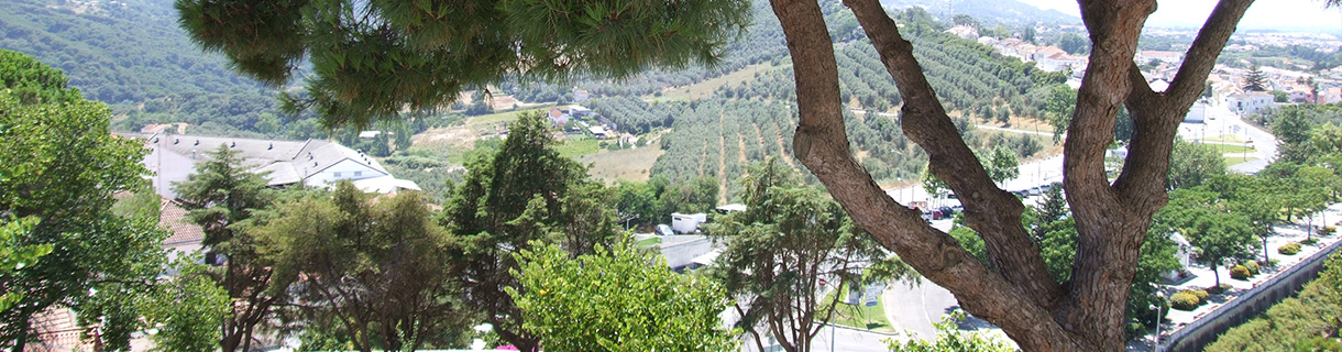 Comemoração do dia mundial da Fotografia